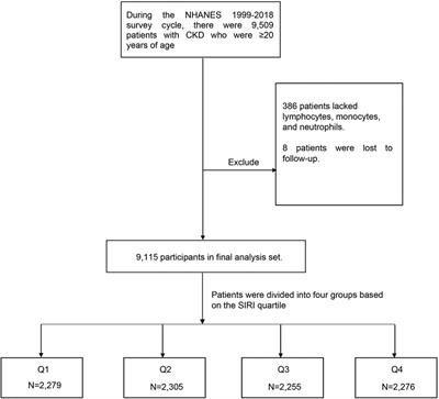 Association of systemic inﬂammation response index with all-cause mortality as well as cardiovascular mortality in patients with chronic kidney disease